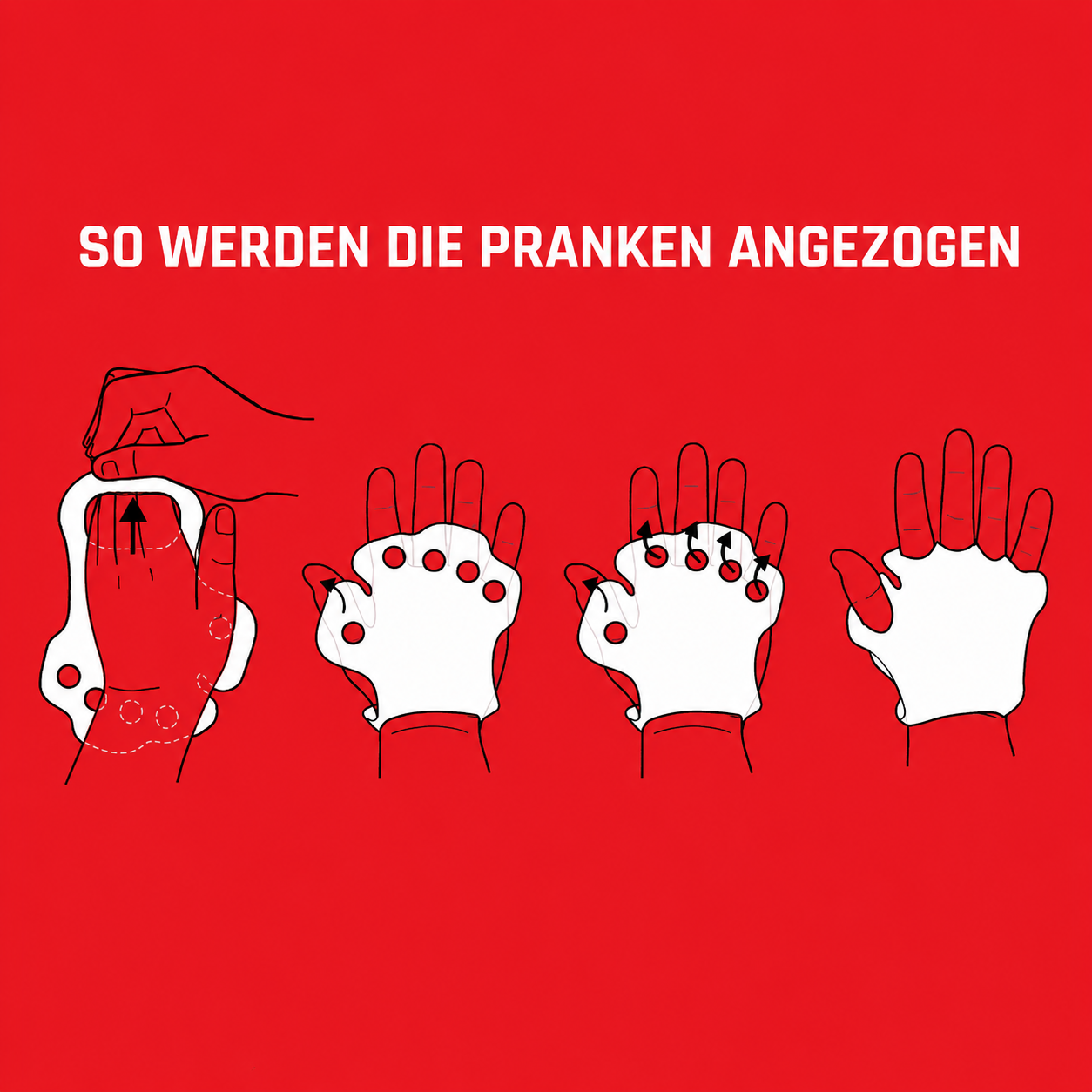 anziehanleitung so wird die bärenpranke angezogen